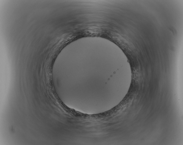 X0000114581009200911091231