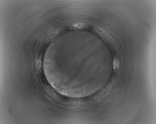 X0000114581011200911091231