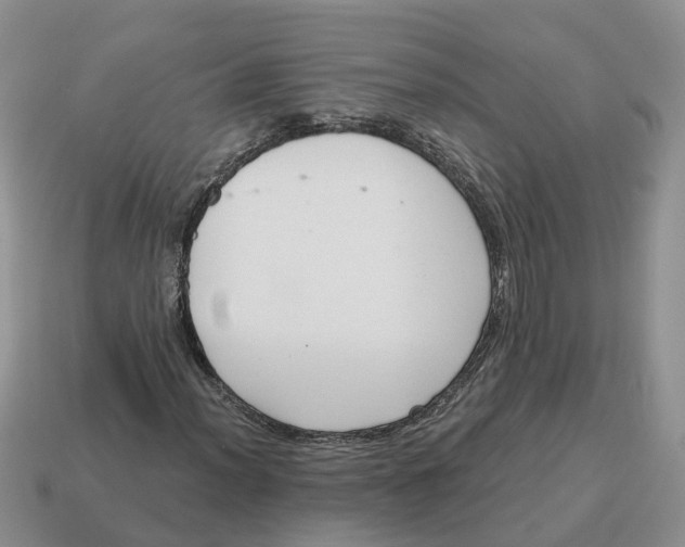 X0000114581012200911091231