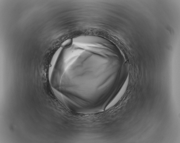 X0000114581013200911091231