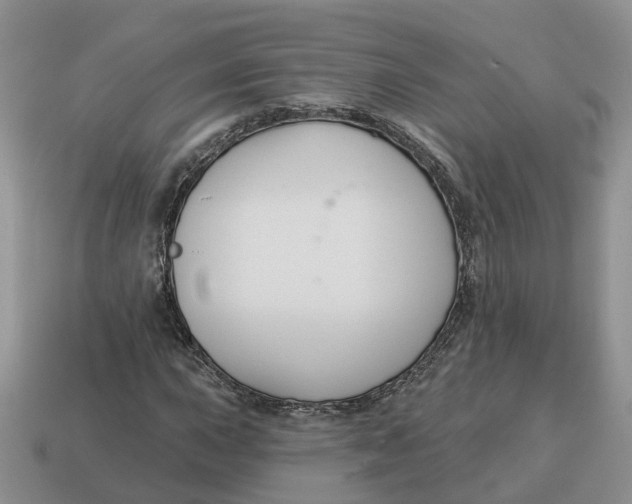 X0000114581015200911091231