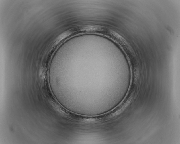 X0000114581017200911091231