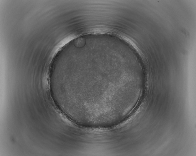 X0000114581018200911091231