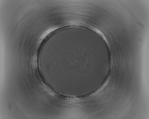 X0000114581019200911091231