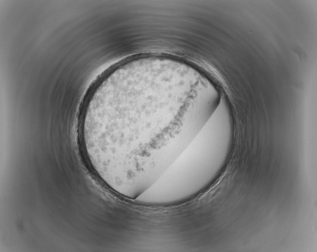 X0000114581020200911091231