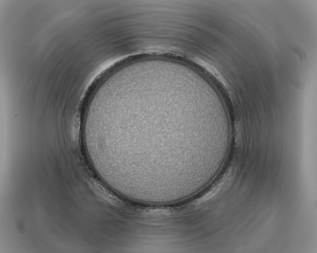 X0000114581021200911091231