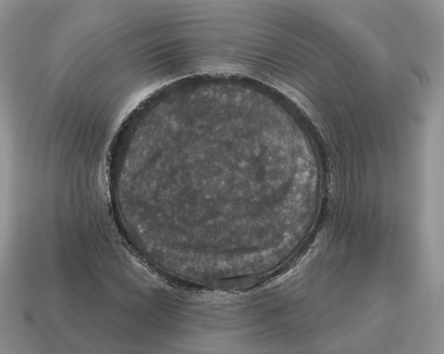 X0000114581022200911091231