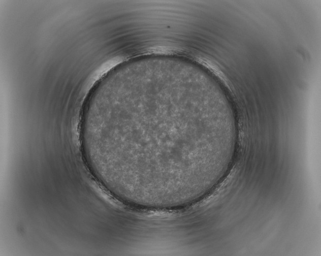 X0000114581026200911091231