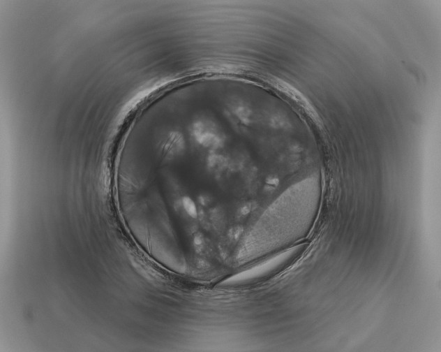 X0000114581027200911091231