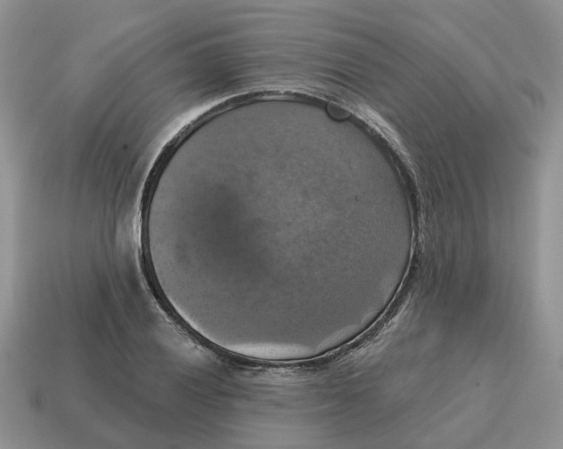 X0000114581028200911091231