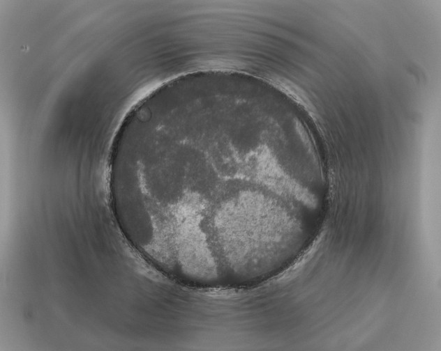 X0000114581029200911091231