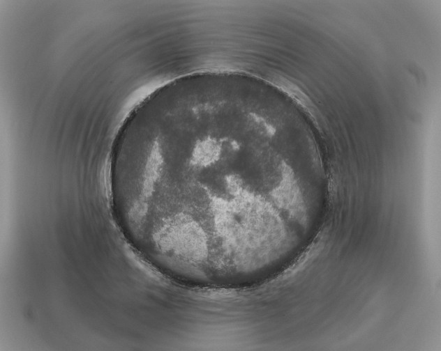 X0000114581030200911091231