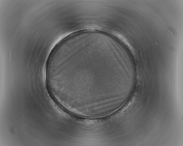 X0000114581032200911091231