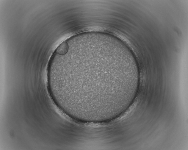 X0000114581034200911091231