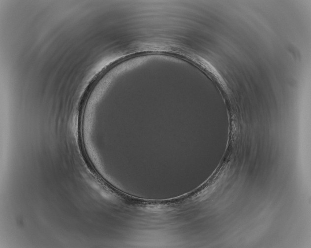 X0000114581035200911091232