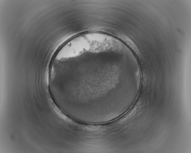 X0000114581036200911091232