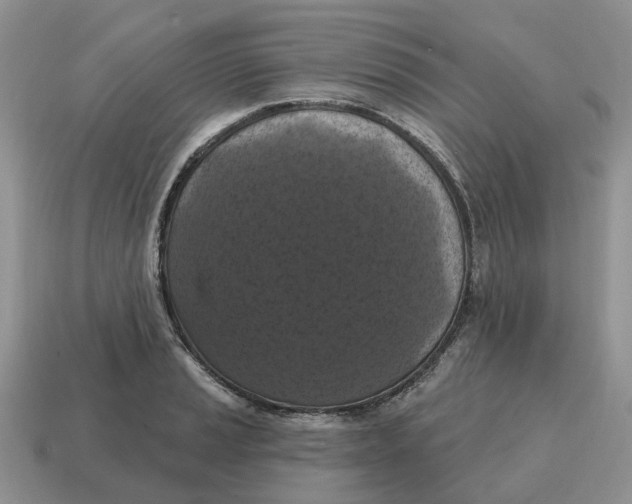 X0000114581037200911091232