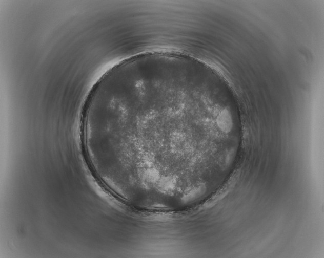 X0000114581038200911091232