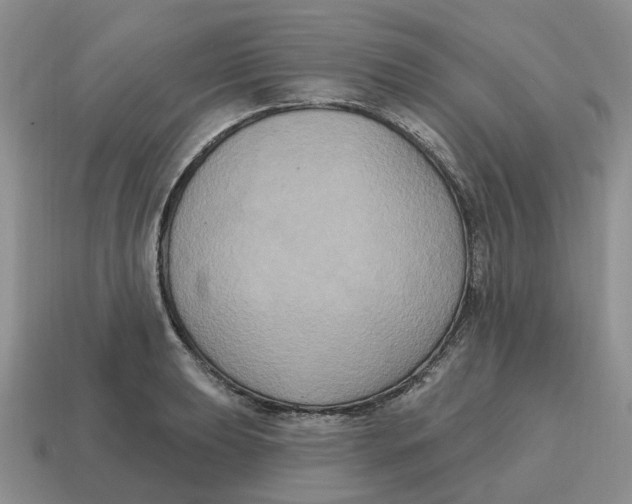 X0000114581039200911091232