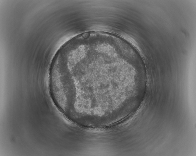 X0000114581040200911091232