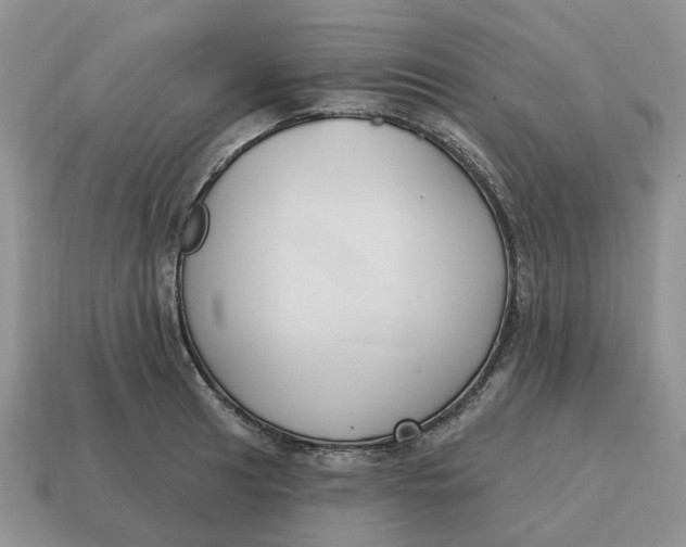 X0000114581041200911091232