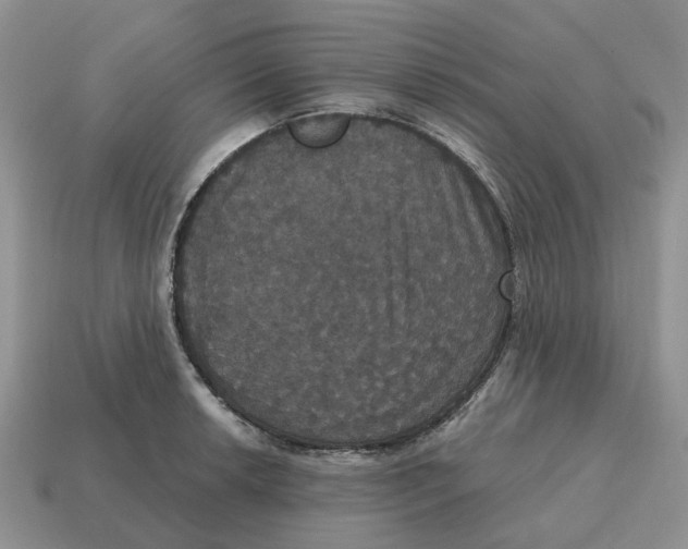 X0000114581042200911091232