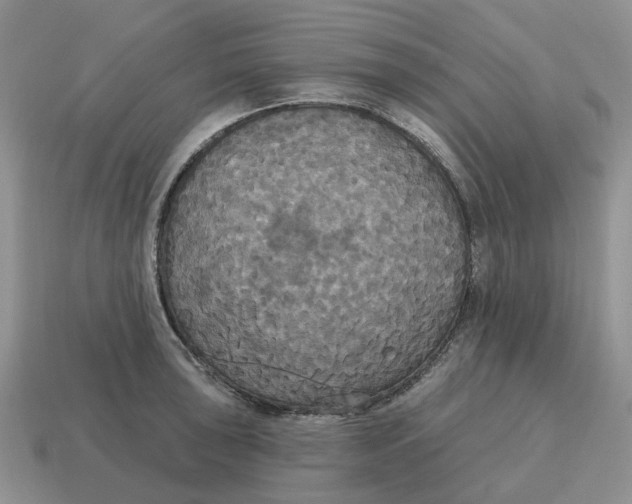 X0000114581043200911091232