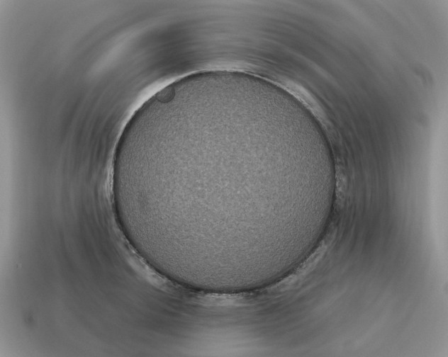 X0000114581044200911091232