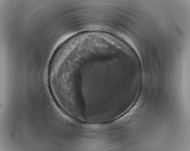 X0000114581045200911091232