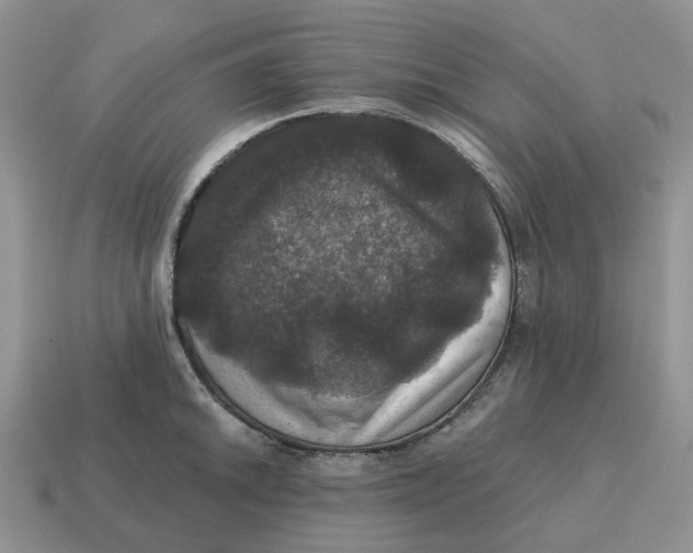 X0000114581046200911091232