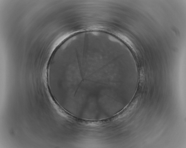 X0000114581047200911091232