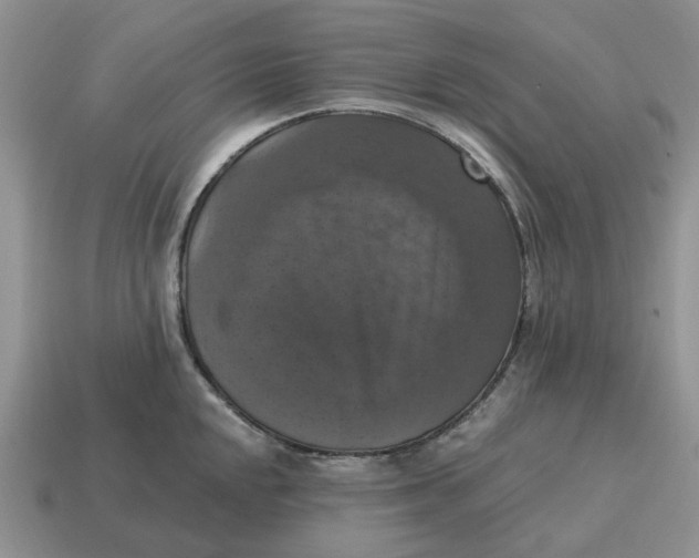 X0000114581048200911091232