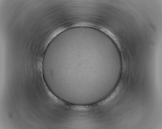 X0000114581049200911091232