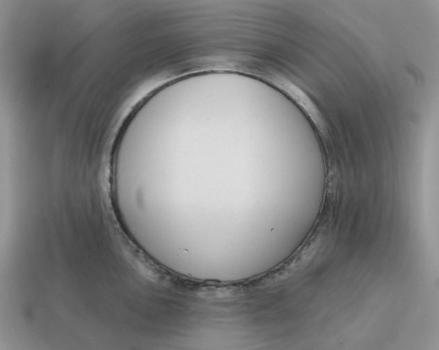 X0000114581051200911091232