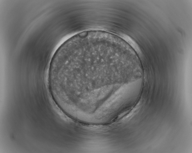 X0000114581052200911091232