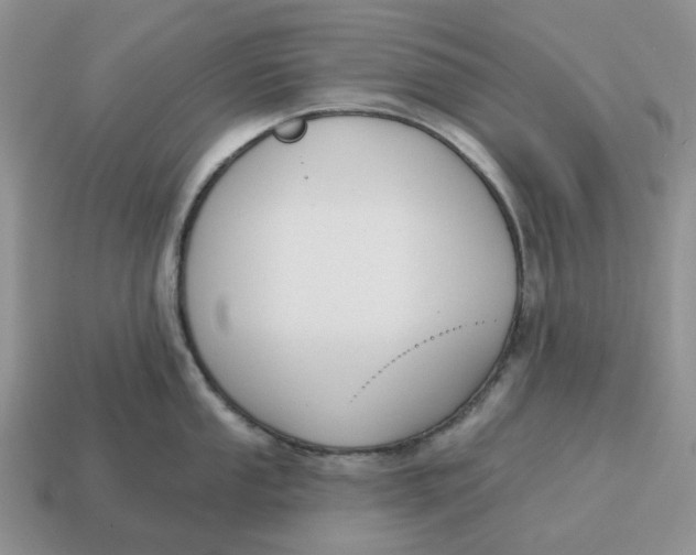 X0000114581053200911091232