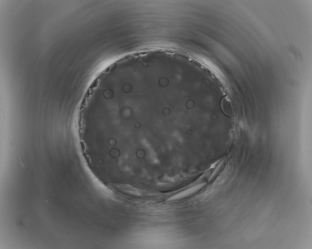 X0000114581055200911091232