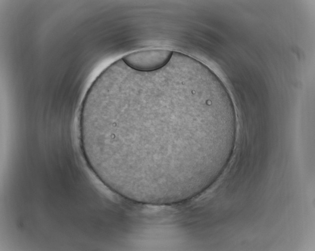 X0000114581056200911091232