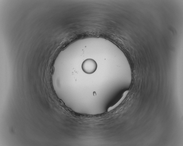 X0000114581057200911091231