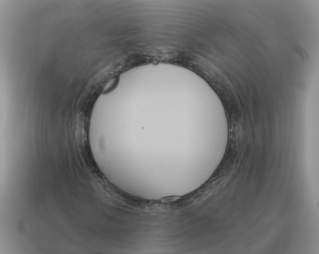 X0000114581058200911091231