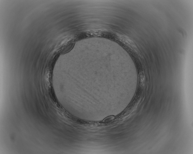 X0000114581060200911091231