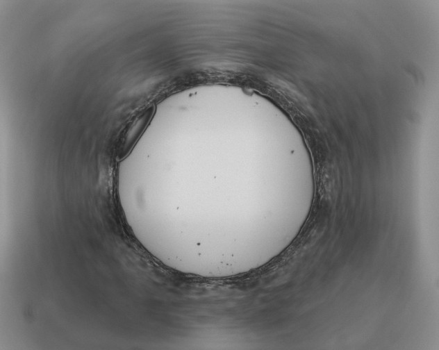 X0000114581061200911091231