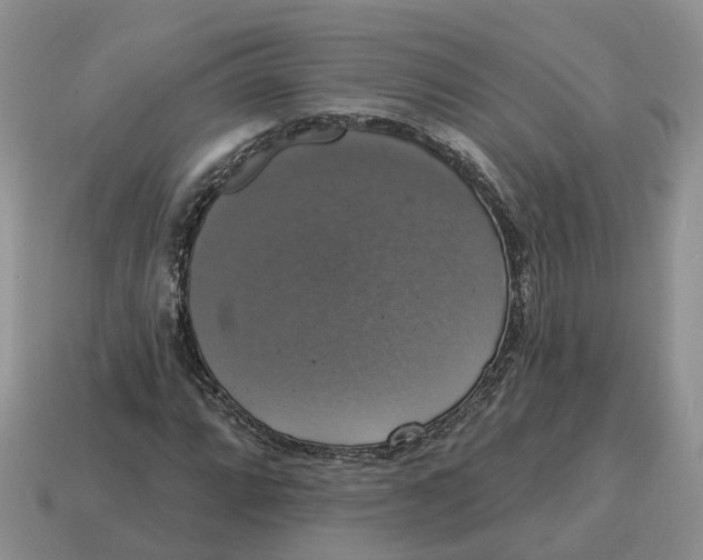 X0000114581064200911091231