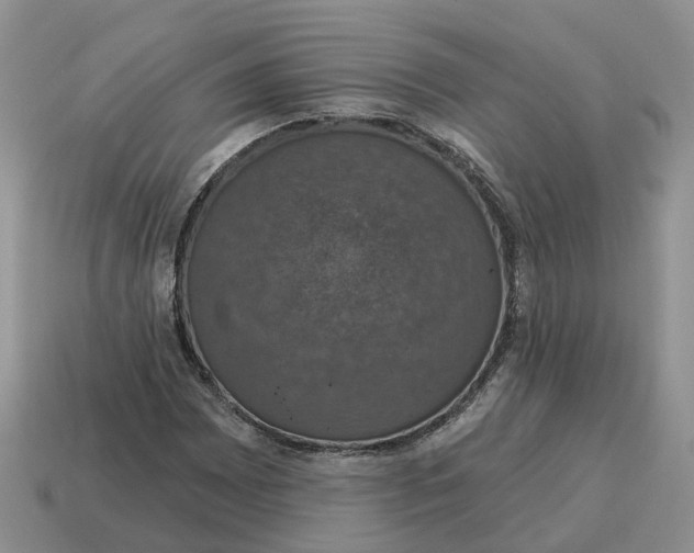 X0000114581065200911091231