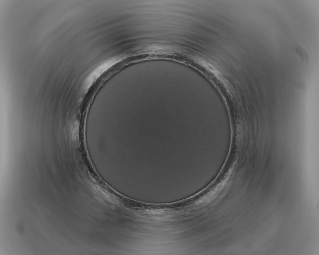 X0000114581066200911091231