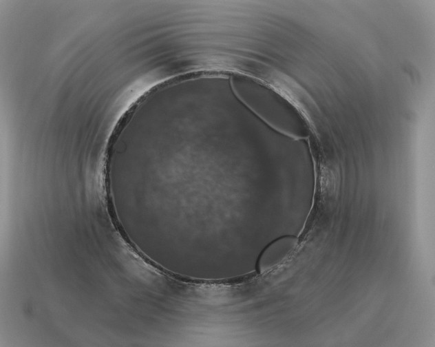 X0000114581068200911091231