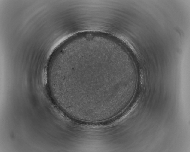 X0000114581069200911091231