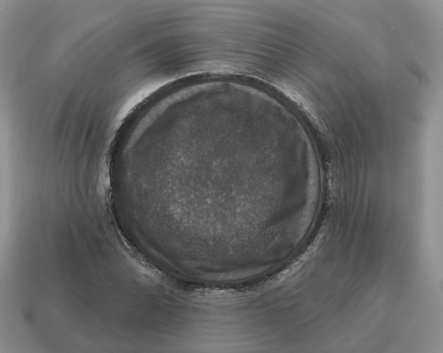 X0000114581070200911091231