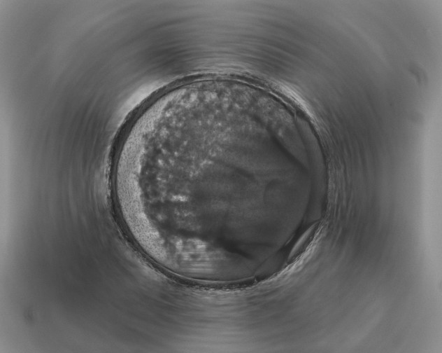 X0000114581071200911091231