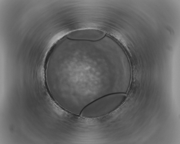 X0000114581072200911091231